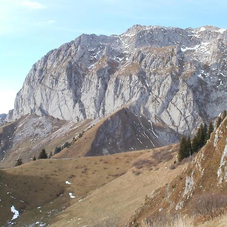 Chambre D'Hote La Petite Bergerie Abondance Екстериор снимка