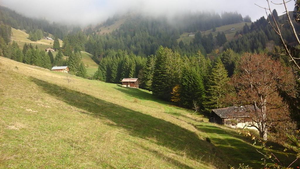 Chambre D'Hote La Petite Bergerie Abondance Екстериор снимка