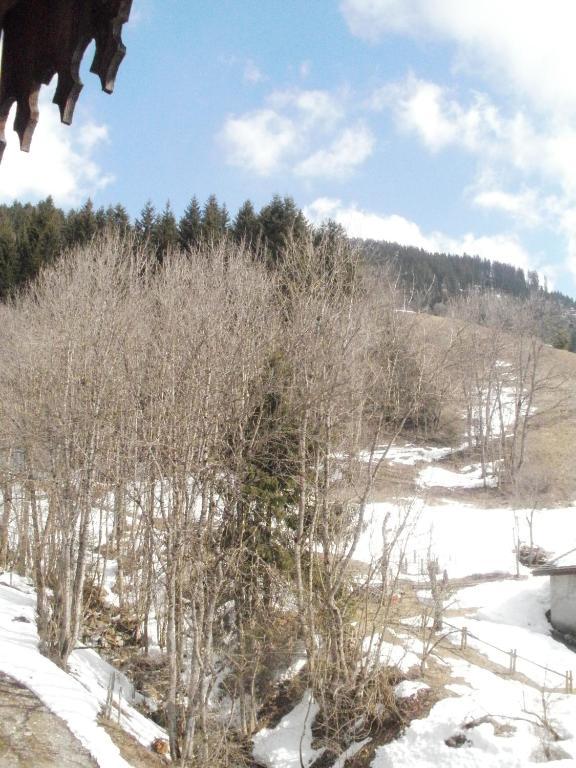 Chambre D'Hote La Petite Bergerie Abondance Екстериор снимка